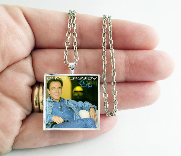 David Cassidy - New Dog Old Trick - Album Cover Art Pendant Necklace - Hollee