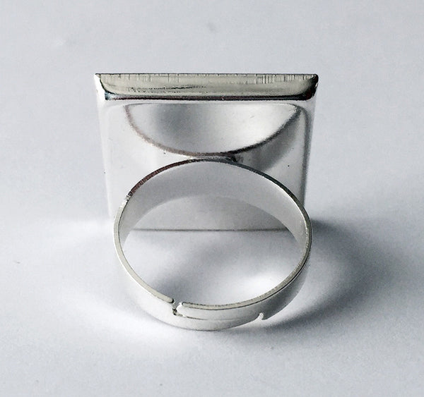 Frank Ocean - Blonde - Album Cover Art Adjustable Ring - Hollee