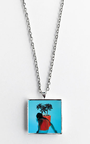 Local Natives - Sunlit Youth - Album Cover Art Pendant Necklace - Hollee